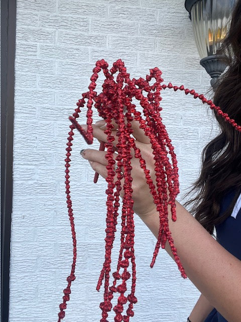 21 Inch Glittered Senecio Hanging Vine - Red