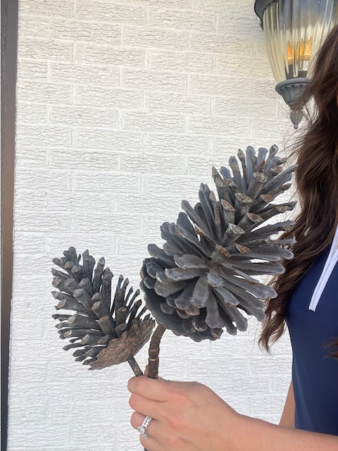 Large Pinecone Spray