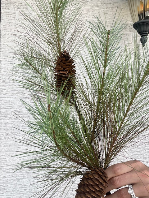 Christmas Greens Pick .02