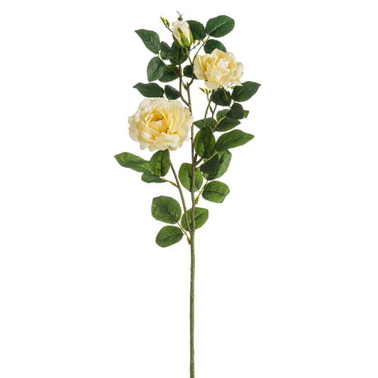 28" Rose Spray  Cream