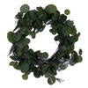 20"  Sliver Dollar Real Touch Eucalyptus Wreath