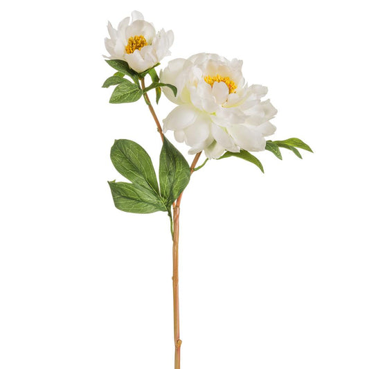 22.5" Vintage Peony Spray  Cream