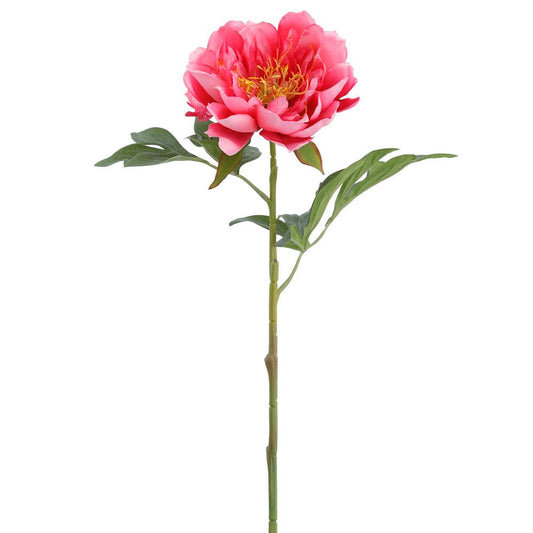 19.5" Peony Spray  Cerise