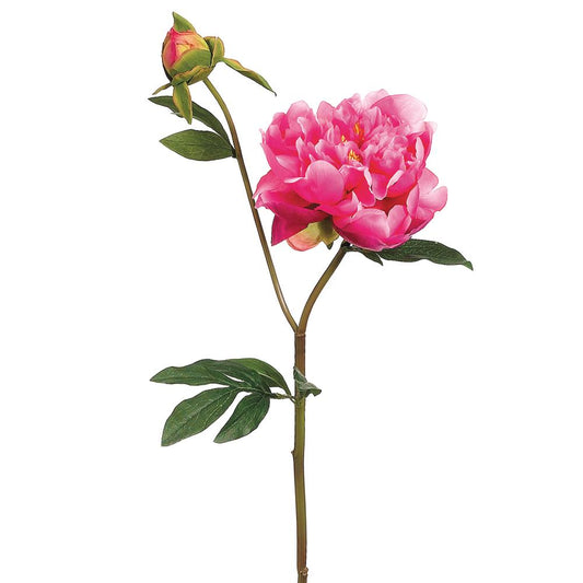 25" Peony Spray with Bud  Mauve