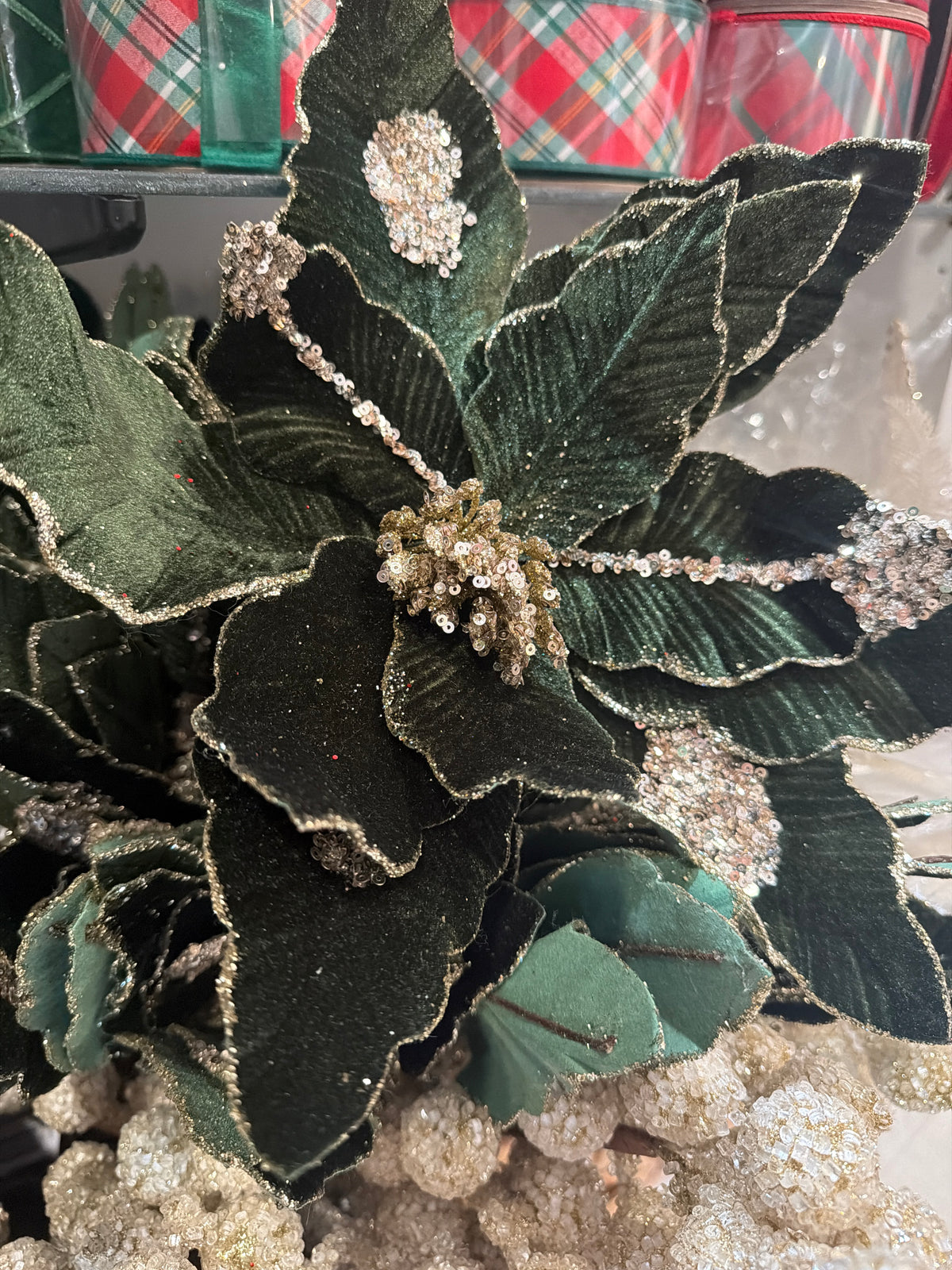 24 Inch Dark Green Velvet & Gold Sequin/Glittered Poinsettia