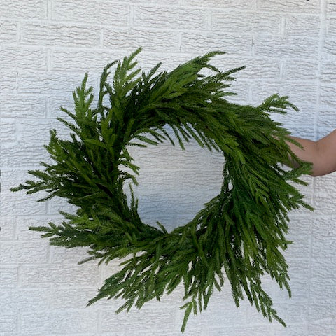 24 Inch Norfolk Pine Wreath