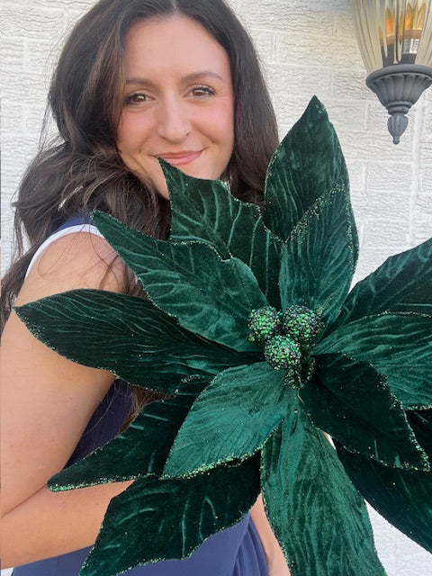 24 Inch x 17.5 Inch Diameter - Poinsettia Stem - Hunter Green