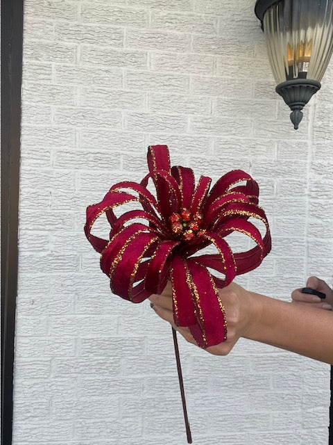 Poinsettia Acanthus - Red