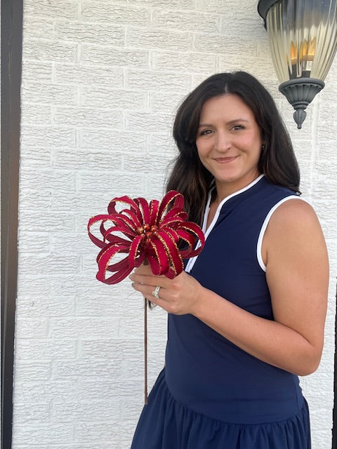 Poinsettia Acanthus - Red