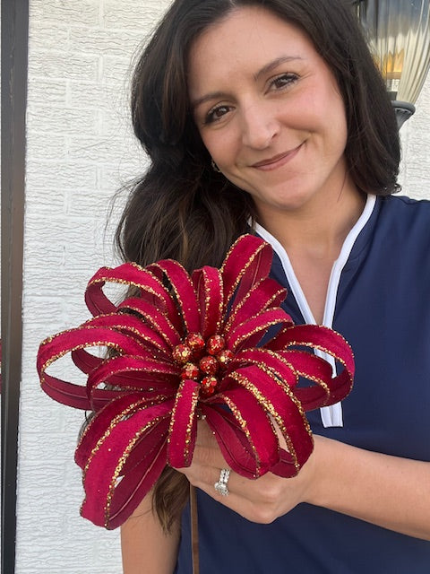 Poinsettia Acanthus - Red