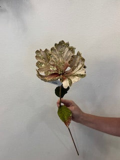 23" Champagne Hibiscus, 8" Flower