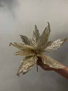 14" Champagne Glitter Poinsettia